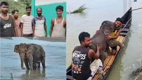 వారి సాహసం... స్ఫూర్తిదాయకం!