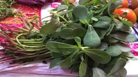 గంగబాయిలమ్మ ఆకుకూర