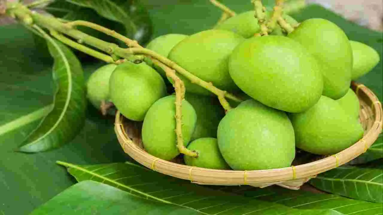 వంటలు: వడపిందెల ఊరుగాయ