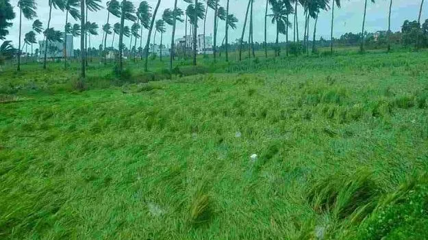 కోనసీమలో కేంద్ర బృందం పర్యటన.. ఆర్నబ్ తుఫాన్ నష్టంపై ఆరా