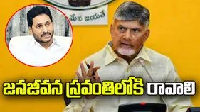 జగన్.. జనజీవన స్రవంతిలోకి రావాలి: సీఎం చంద్రబాబు