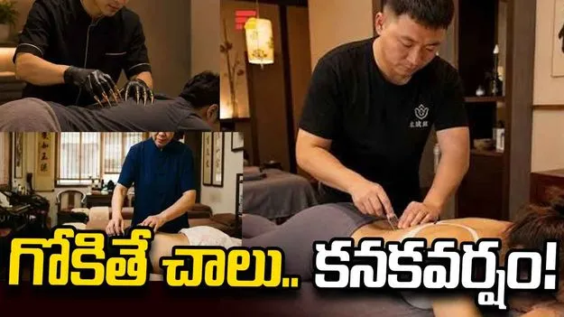 భలే బిజినెస్.. దురదపుట్టినప్పుడు గోకితే చాలు.. కనకవర్షం!