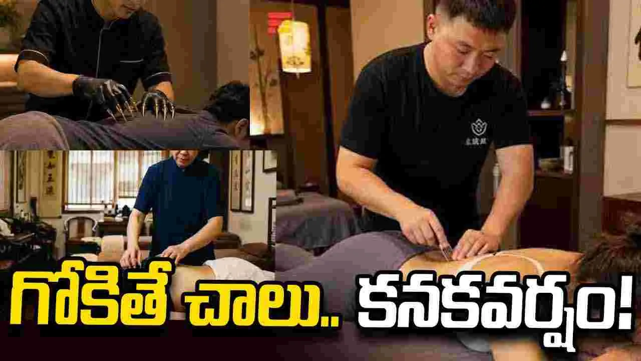 భలే బిజినెస్.. దురదపుట్టినప్పుడు గోకితే చాలు.. కనకవర్షం!