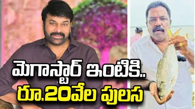 అరుదైన కిలోన్నర పులస.. మెగాస్టార్‌కు పంపనున్న అభిమాని