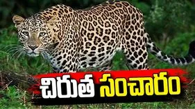 మార్కాపురం జిల్లాలో చిరుత పులి కలకలం