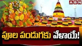 పూల పండుగకు వేళాయే!