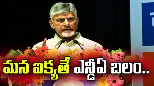 ఎన్డీయే బలం మన ఐక్యతలోనే ఉంది: సీఎం చంద్రబాబు