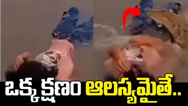 నదీ తీరంలో ఎంజాయ్ చేస్తుండగా.. అకస్మాత్తుగా వచ్చిన మొసలి! వీడియో వైరల్