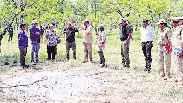 పులి మృతిపై విచారణ ప్రారంభం