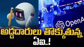 నా తప్పులు దాచేస్తా.. హద్దులు దాటేస్తా!