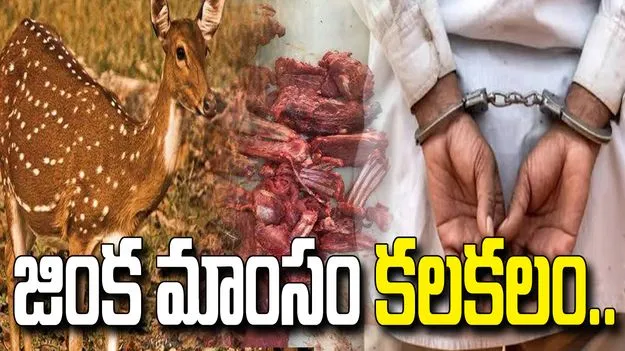హైదరాబాద్‌లో జింక మాంసం కలకలం.. ముగ్గురి అరెస్ట్