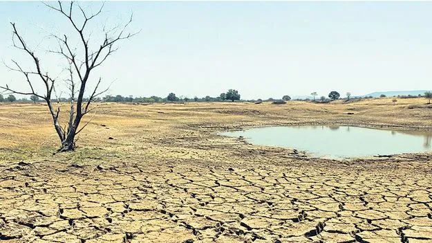 Drought: కరువు కోరల్లో జిల్లా