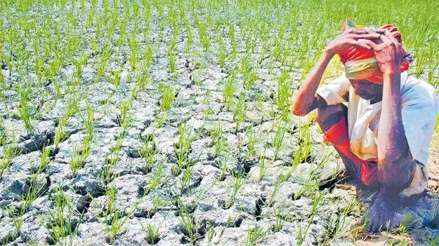 ‘నైరుతి’ మూడో నెలలోనూ నిరాశే