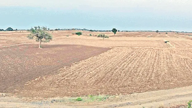 జిల్లా అంతటా కరువు