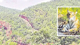 నిన్న వేట.. నేడు పోట్లాట