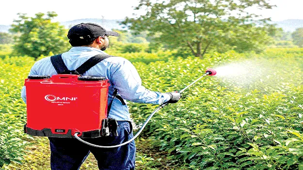   జాగ్రత్తలే పంటలకు రక్ష