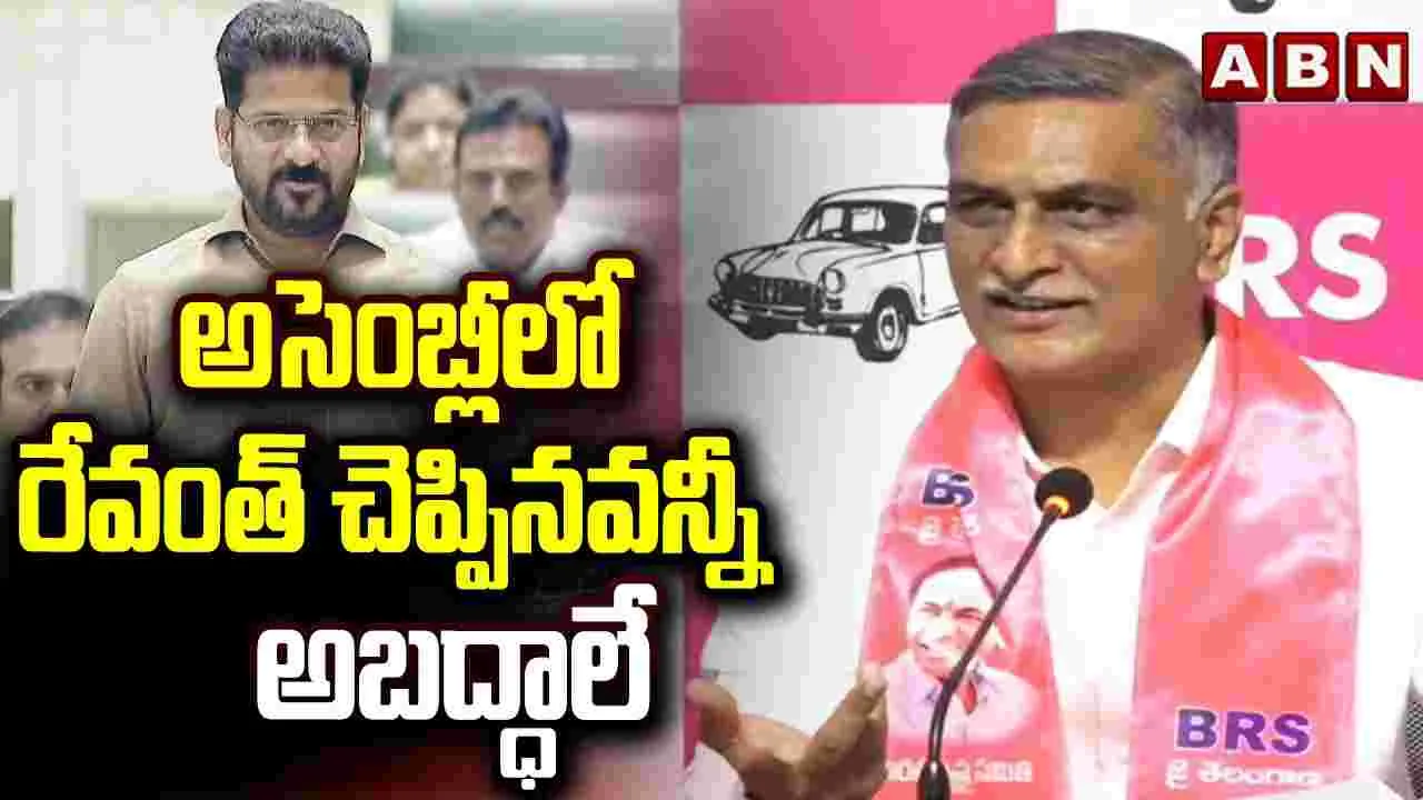 అసెంబ్లీలో రేవంత్ చెప్పినవన్నీ అబద్ధాలే..