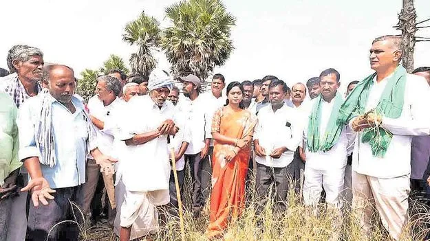 ఐదు జిల్లాల్లో కరువుకు రేవంత్‌రెడ్డే కారణం