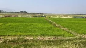 పాకాల ఆయ‘కట్’..