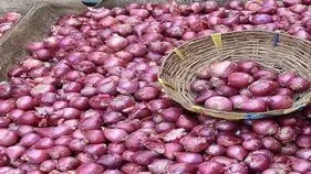 పేలుతున్న ఉల్లిగడ్డ ధరల బాంబు
