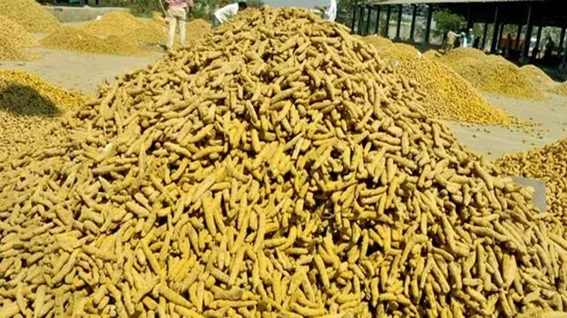 పసుపు క్వింటాకు రూ.19 వేలు