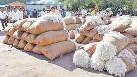 పత్తికి పెరిగిన డిమాండ్..