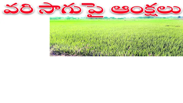 వరి సాగుపై ఆంక్షలు