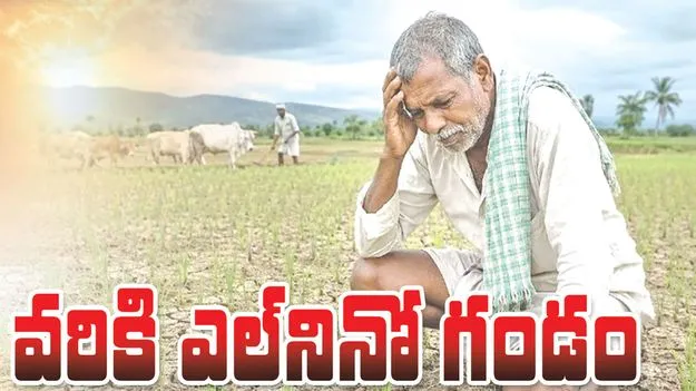వరికి ఎల్‌నినో గండం 