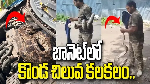 కారు బానెట్‌‌లో భారీ కొండచిలువ కలకలం..