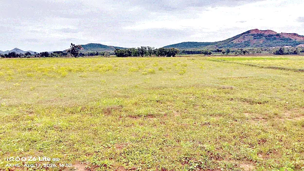 No Water…  నీరందక.. ఉభాలు పూర్తికాక! 