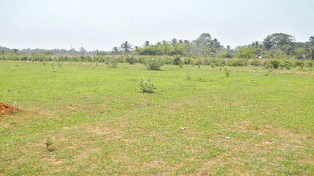 Green signal for freehold registrations ఫ్రీహోల్డ్‌ రిజిస్ట్రేషన్లకు ఓకే