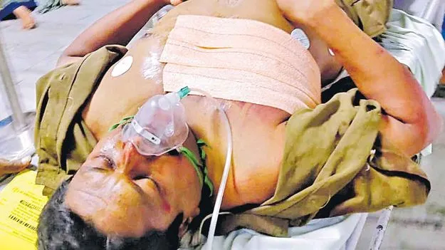 మావటిని తొండంతో కొట్టి.. తొక్కిన ఏనుగు