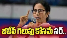 బెంగాల్ ఎన్నికల్లో బీజేపీ గెలుపు కోసమే.. సర్ : మమతా బెనర్జీ