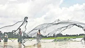 ‘ఐఏఎస్‌కు నజరానా’... మత్స్యశాఖలో!