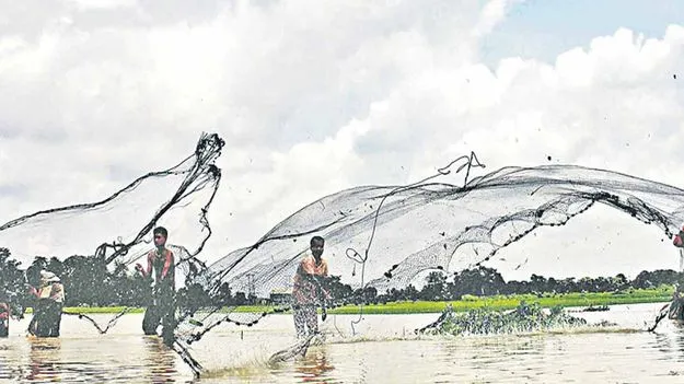 ‘ఐఏఎస్‌కు నజరానా’... మత్స్యశాఖలో!