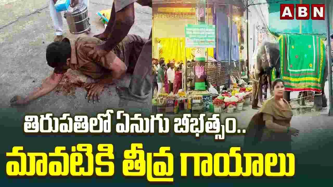 తిరుపతిలో ఏనుగు బీభత్సం.. మావటికి తీవ్ర గాయాలు 