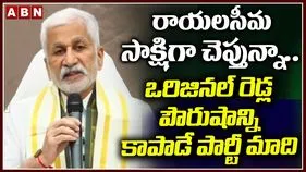ఒరిజినల్ రెడ్ల ఆత్మగౌరవం కాపాడేలా పార్టీ పెడతా: విజయసాయి