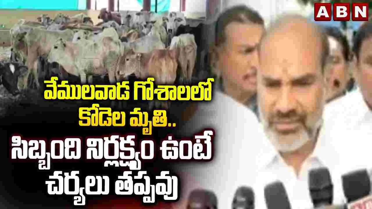 వేములవాడ గోశాలలో కోడెల మృతి.. సిబ్బంది నిర్లక్ష్యంగా ఉంటే చర్యలు తప్పవు: ఆది శ్రీనివాస్