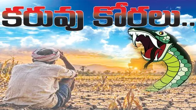  Mancherial:  కరువు కోరలు..
