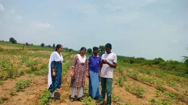 పక్కాగా...సాగు లెక్క