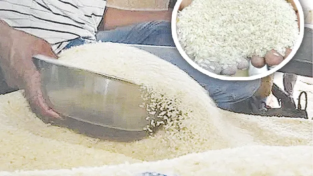 పోషకాహారం అందేనా...?