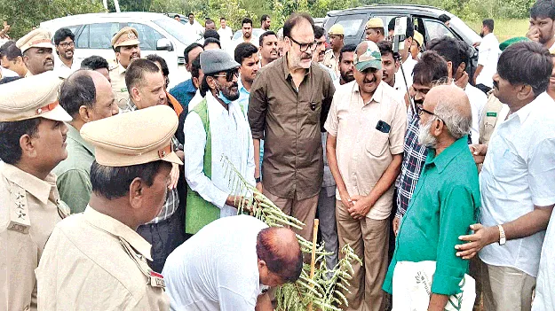   elephants.  ఏనుగులతో ఏ నష్టం కలగకూడదు