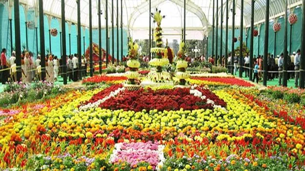 విరుల సోయగం.. రెండో సీజన్‌కు ఊటీ సిద్ధం