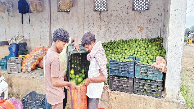   But Prices Refuse to Rise!  సీజన్‌ ముగుస్తున్నా.. ధర పెరగట్లే!