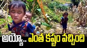 చెల్లిని భుజాన ఎత్తుకుని తల్లిదండ్రుల కోసం వెతుకులాట.. కన్నీళ్లు తెప్పిస్తున్న వీడియో