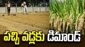పచ్చి వడ్లకు డిమాండ్