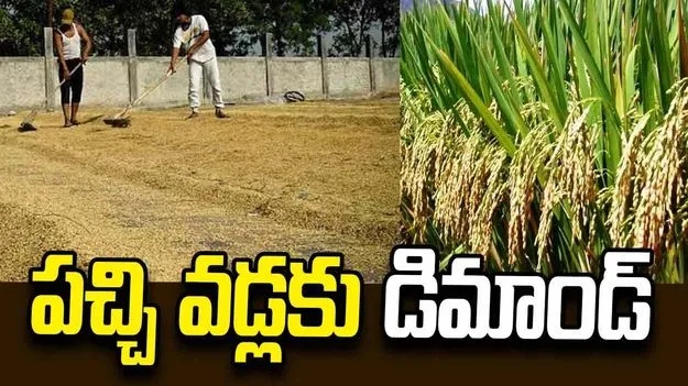 పచ్చి వడ్లకు డిమాండ్