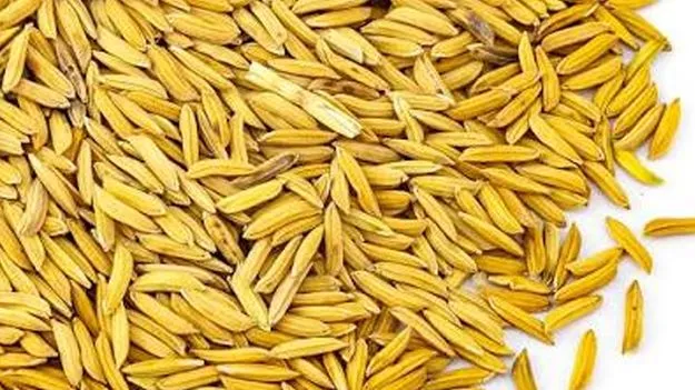 జైశ్రీరాం వడ్లకు రికార్డు ధర !