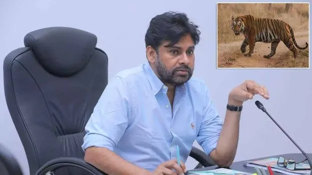 తూ.గో జిల్లాలో పులి సంచారం.. అప్రమత్తంగా ఉండాలని పవన్ కల్యాణ్ ఆదేశాలు