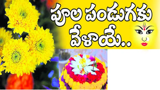 పూల పండుగకు వేళాయే...